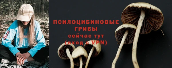 СК Бугульма