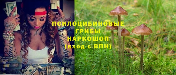 каннабис Бородино