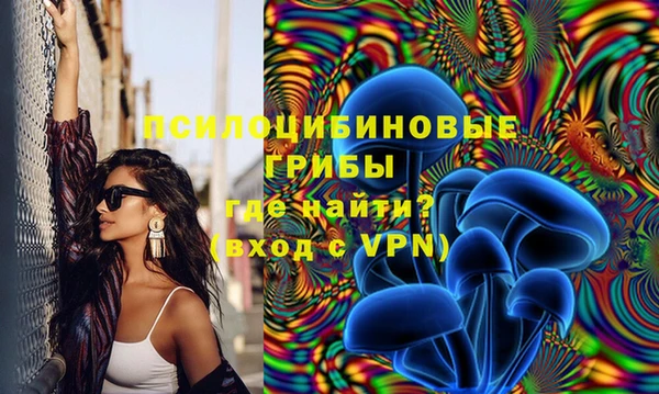 мдпв Бронницы